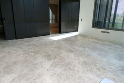 Leedon Residence (D10), Condominium #600298061